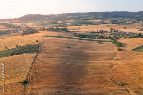 Aerial view of a rural area at sunrise with golden fields and olive plantations