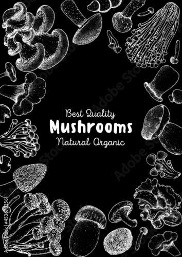 Edible mushrooms hand drawn sketch. Vector illustrations collection. Hand drawn food. Vintage mushrooms sketch. Organic food. Forest mushrooms. Vintage mushrooms background. Healthy food illustration.