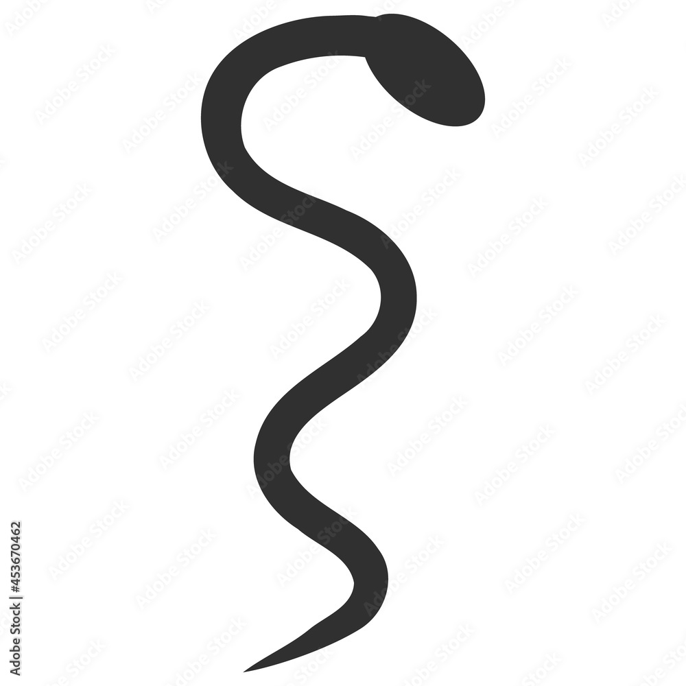 Snake vector illustration. Flat illustration iconic design of snake, isolated on a white background.