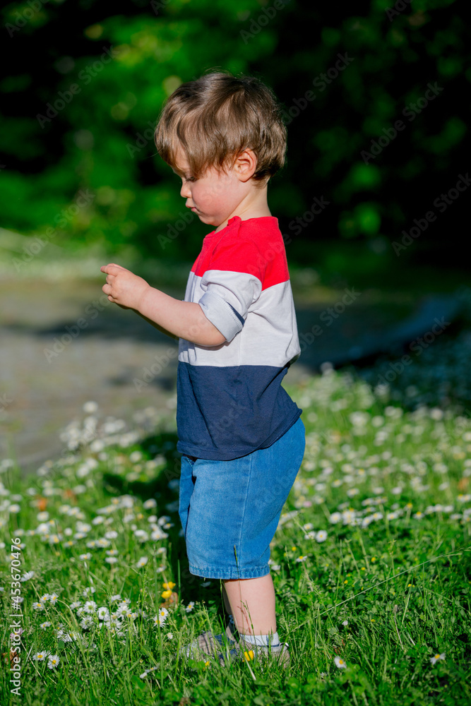little boy playing with flowers in the meadow little boy playing with flowers in the meadow