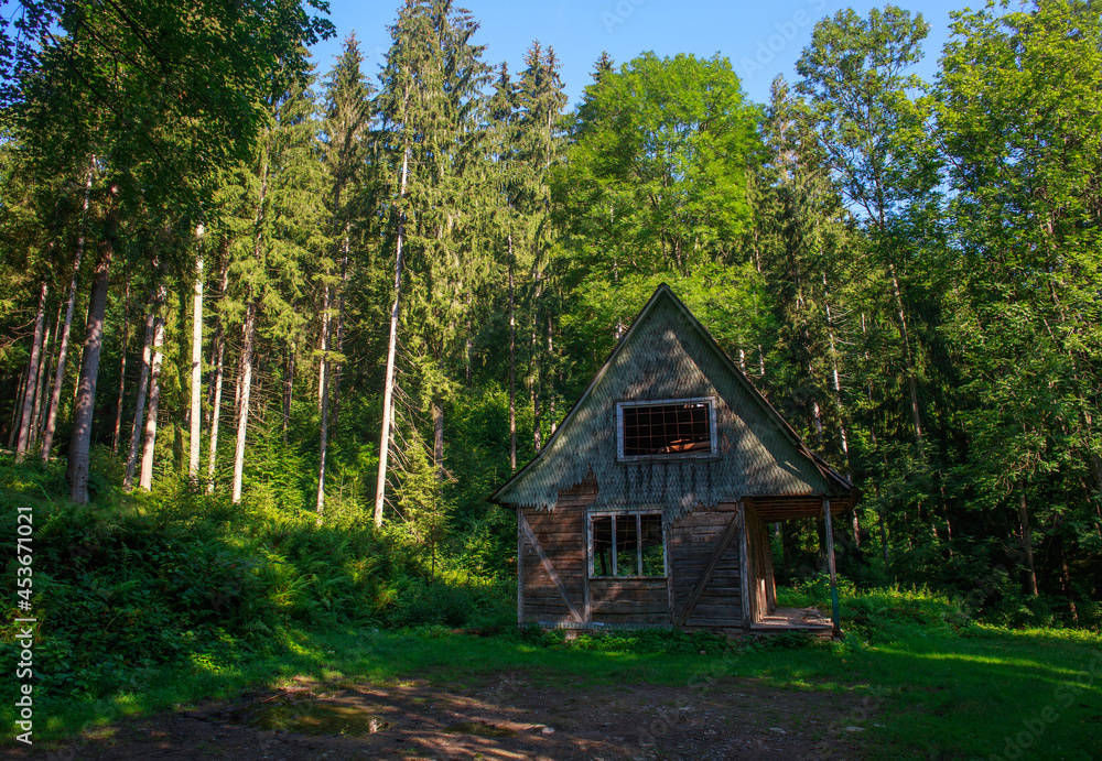 Old abandoned wooden house in green wild forest, dilapidated hut Old abandoned wooden house in green wild forest, dilapidated hut