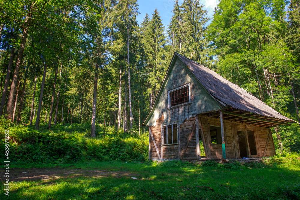 Old abandoned wooden house in green wild forest, dilapidated hut