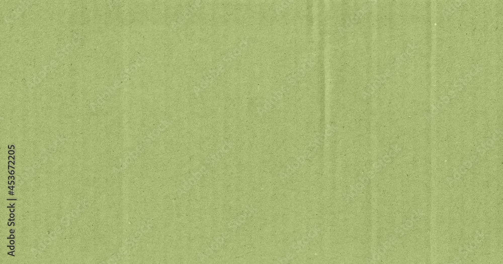 Fototapeta premium green paper texture