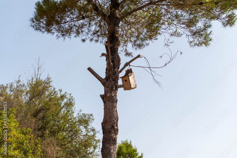 FUENTES DE ALGAR 2021 Stock Photo Adobe Stock