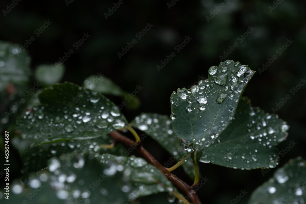 Wassertropfen Wassertropfen
