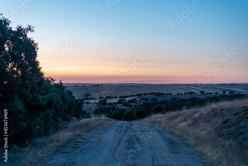 HORA DORADA FOTOGRAFÍA PAISAJE RURAL  photo