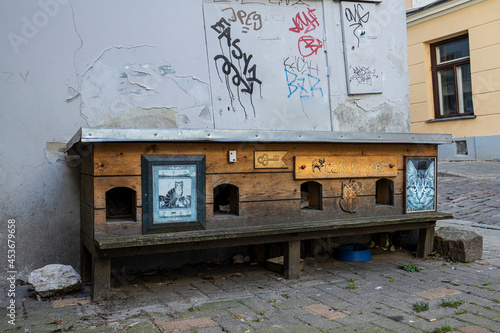 The cat's hostel in Riga, Latvia © Sergio Delle Vedove
