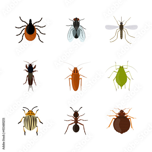 Set of various insects isolated on white background