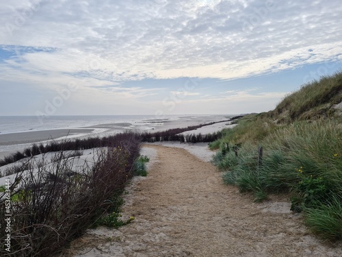 path to the beach © roman