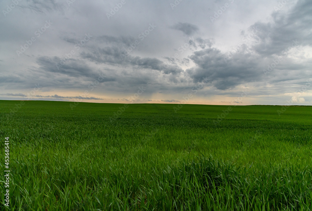 Obraz premium the Open Prairie in Eastern Colorado