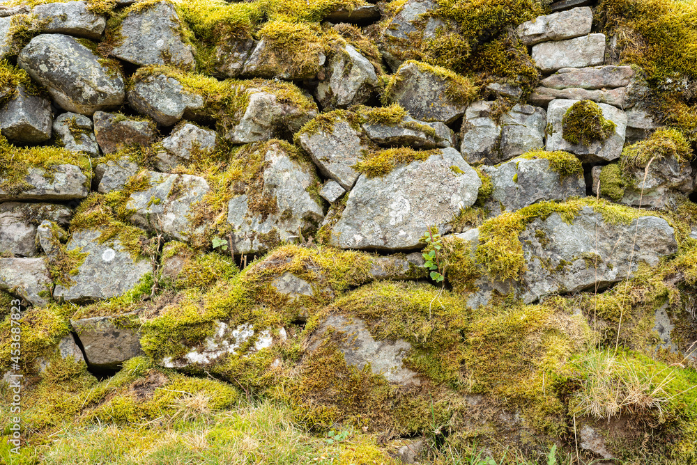 Stone wall covered with moss. 