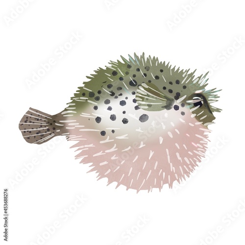 Fish hedgehog watercolor illustration. Underwater word. Fugu