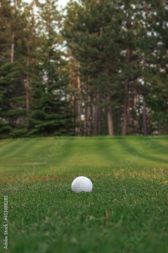 white golf ball on the grass with mountain view and forest