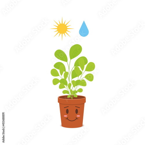 Cute potted plant character with watering and sunlight symbols. Happy houseplant isolated on white background. Vector cartoon illustration in childish style.