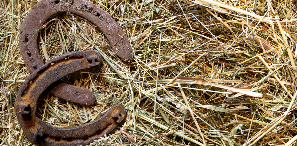 Fototapeta premium Old horseshoes on a background of hay in the stables. Banner. Good luck concept