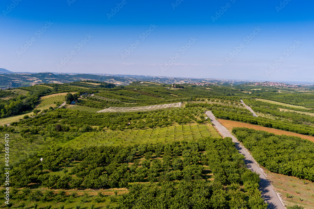 Aerial view over agricultural fields with cherry trees