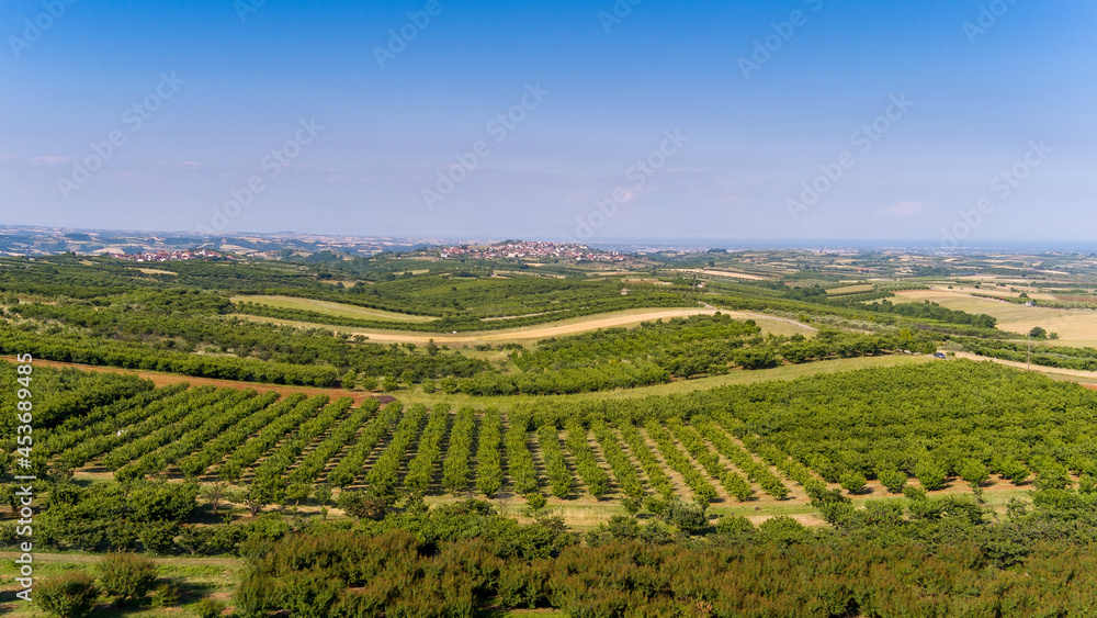 Aerial view over agricultural fields with cherry trees