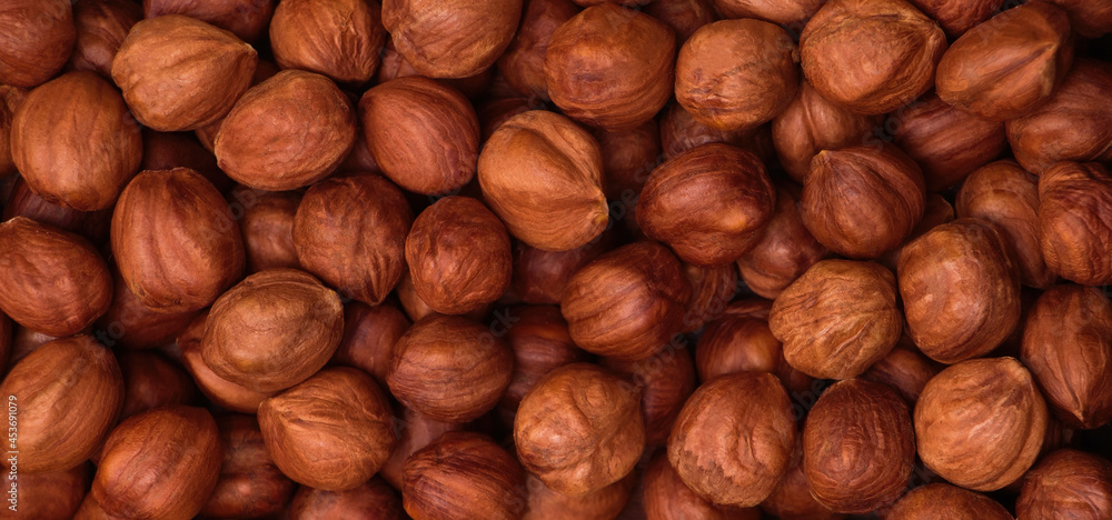 Background from Hazelnut nuts (Corylus avellana) Background from Hazelnut nuts (Corylus avellana)