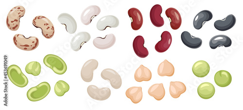 Set of Bean Icons, Green, Red, White, Grey Seeds, Chickpea Natural Vegetable, Healthy Food Isolated on White Background