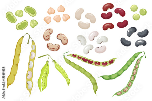 Set Icons Bean Pods and Seeds, Green Pea and Chickpea Natural Vegetables. Kidney Harvest, Healthy Food, Organic Veggies