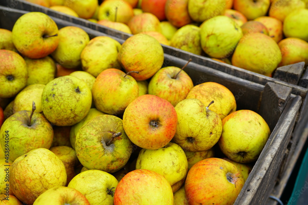Fresh red and yellow apples at a farmers market Fresh red and yellow apples at a farmers market