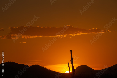 Sun sets in fire red sky behind saguaro cactus © mdurson