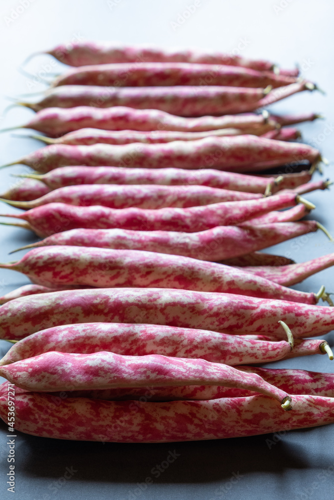 Young pods of red beans in a row on a dark stone background close up. Healthy food. Diet concept. Flat lay Young pods of red beans in a row on a dark stone background close up. Healthy food. Diet concept. Flat lay