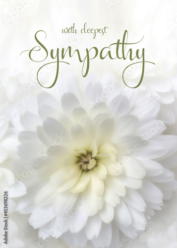 Floral sympathy greeting card. White chrysanthemum with condolence message. Vertical orientation. Elegant sympathy background.