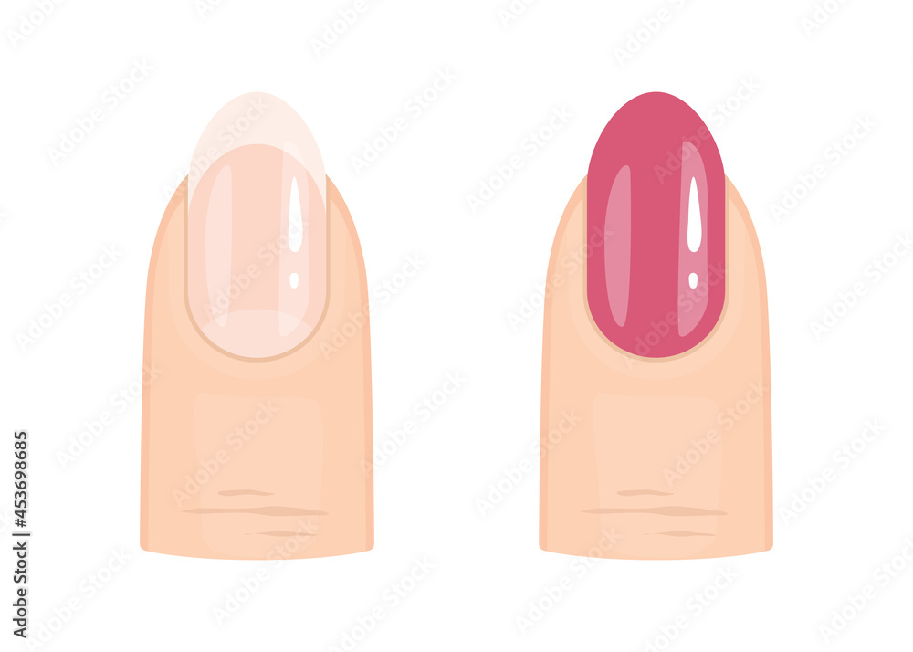 Close up of woman’s finger with pink polish and finger with French Professional Manicure. Beauty treatment. Vector illustration Close up of woman’s finger with pink polish and finger with French Professional Manicure. Beauty treatment. Vector illustration