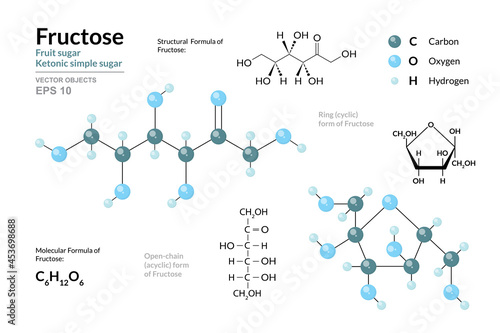 Fructose. Fruit Sugar. Ketonic Simple Sugar. Monosaccharide. Cyclic and Open Chain Form of Fructose. C6H12O6. Structural Chemical Formula and Molecule 3d Model. Vector Illustration