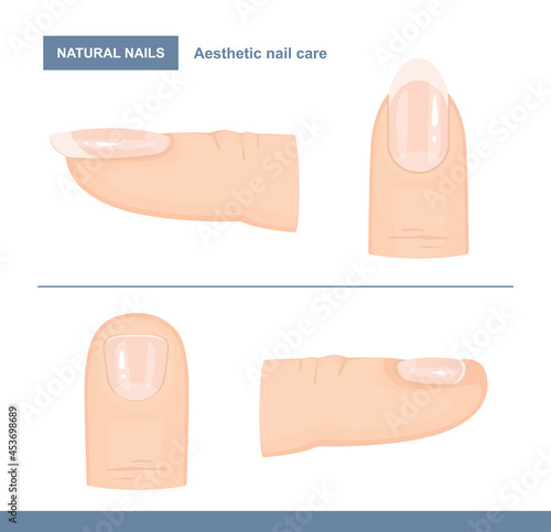 Different Types of Fingernails. Aesthetic Nail Care. Vector Illustration