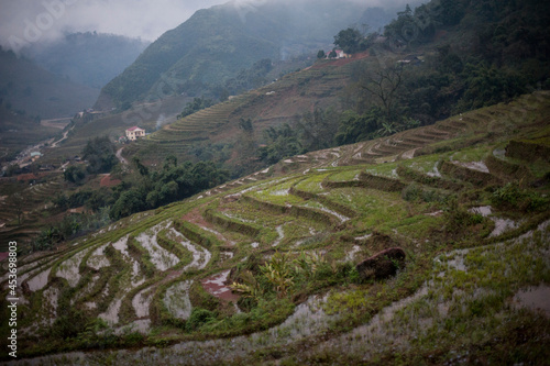 Terrazas