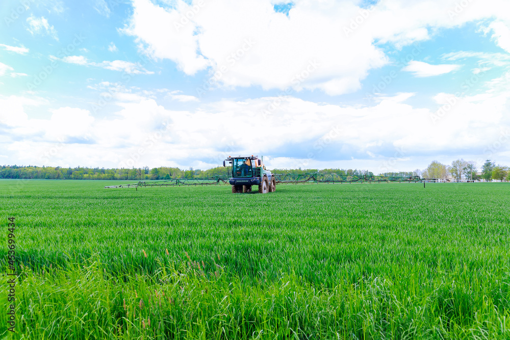 Fototapeta premium The tractor uses a large sprayer to treat green wheat from pests.