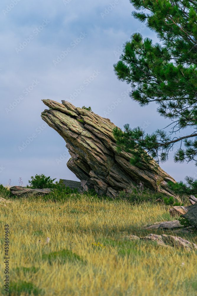 Rock Formations and Trees in Rocky Mountains of Wyoming Countryside Rock Formations and Trees in Rocky Mountains of Wyoming Countryside
