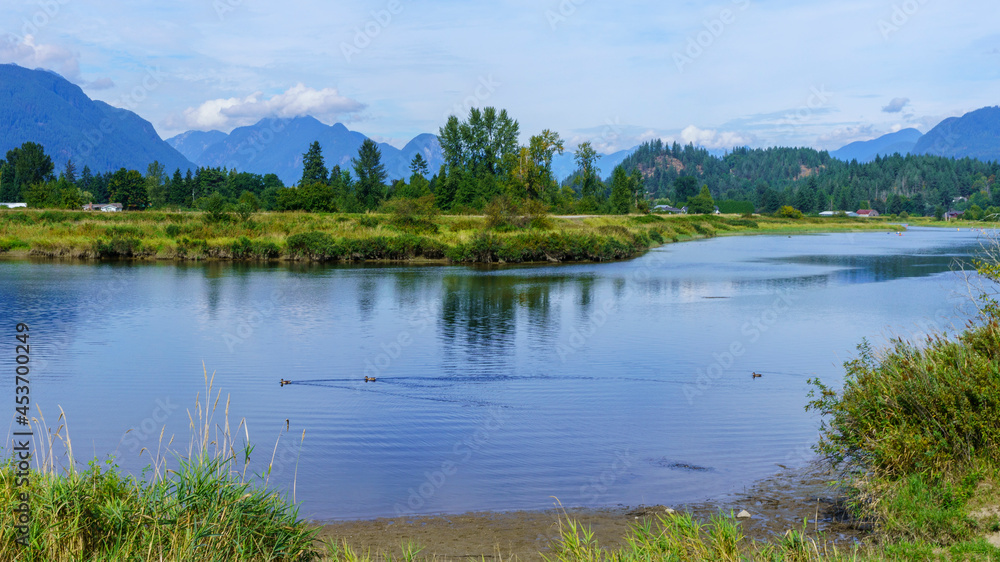 Tranquil Alouette River near Pitt Meadows, BC, late summer with mountain backdrop