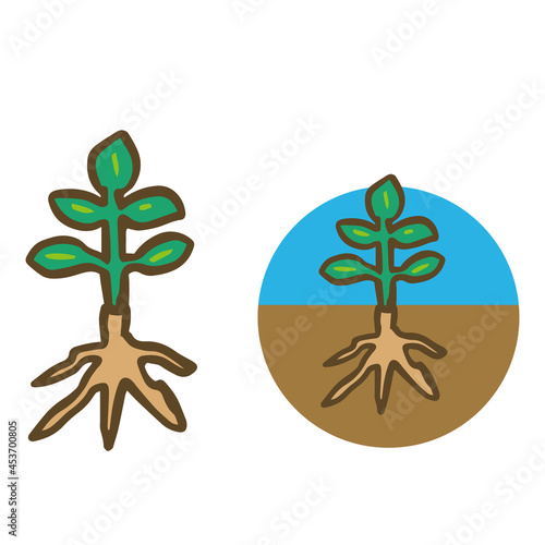 植物と根のシンプルなイラスト
