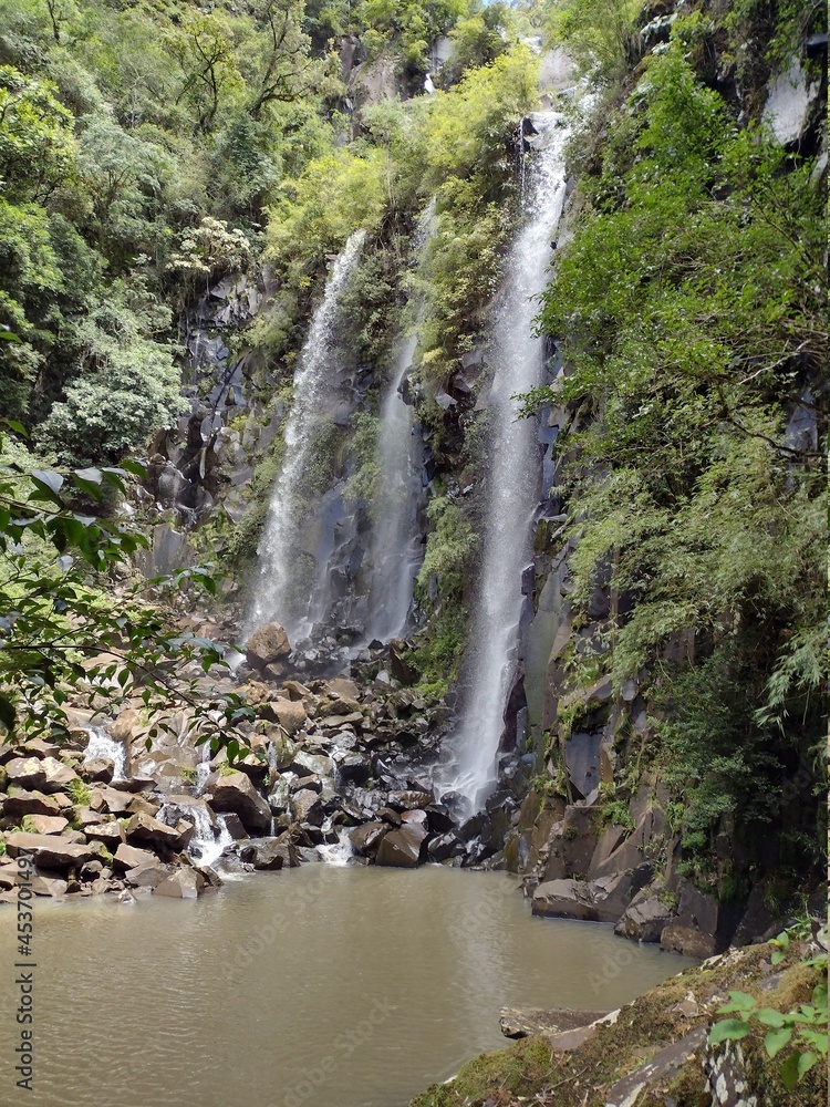 Obraz premium waterfall in the forest, Nature, water, wild