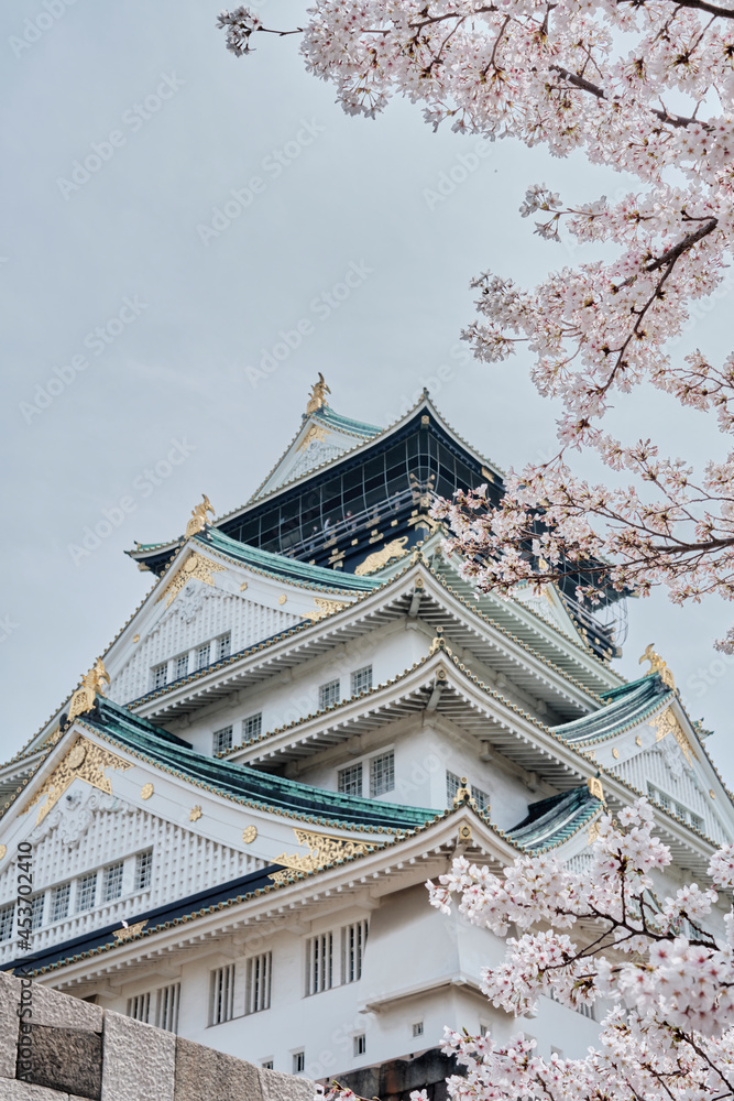 Osaka Castle Park in Cherry Blossom Season