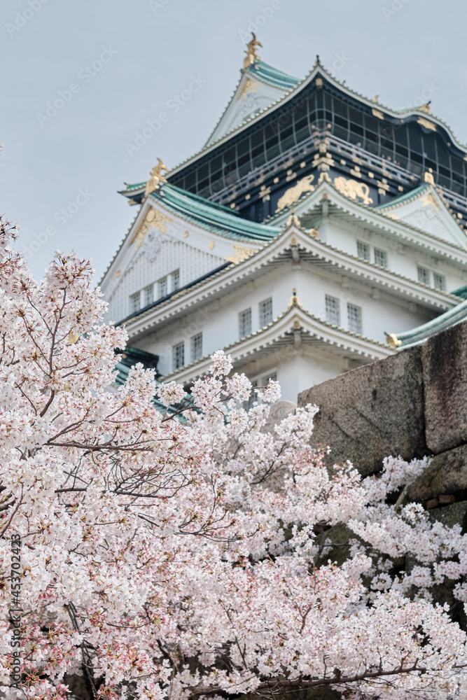 Osaka Castle Park in Cherry Blossom Season Osaka Castle Park in Cherry Blossom Season