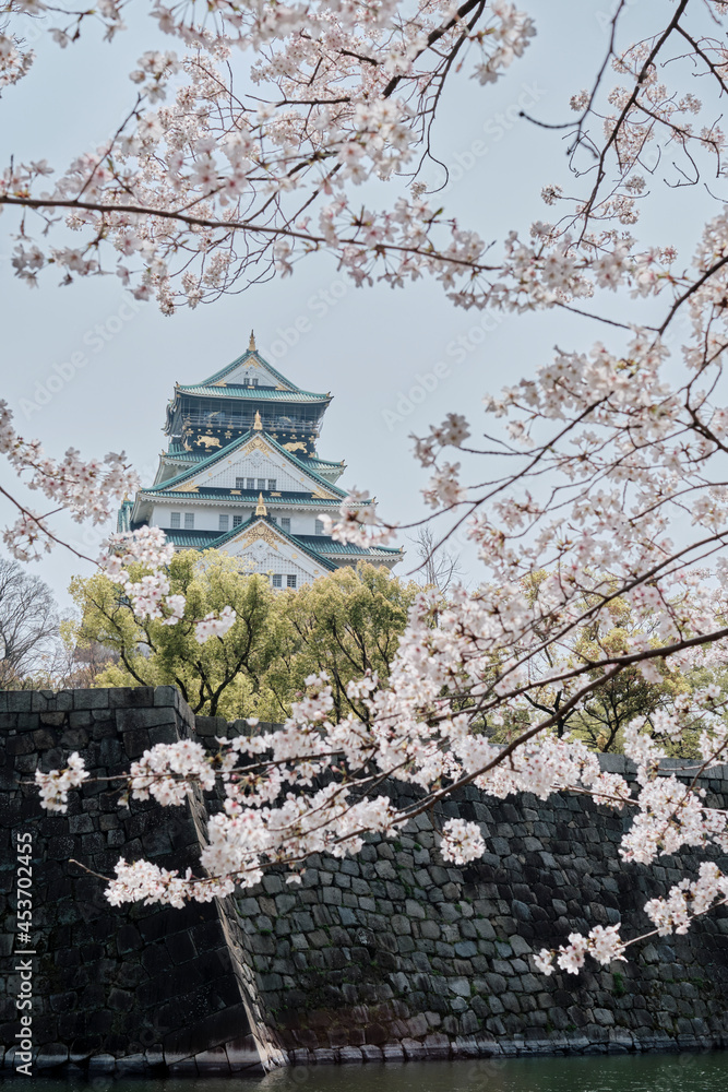 Osaka Castle Park in Cherry Blossom Season