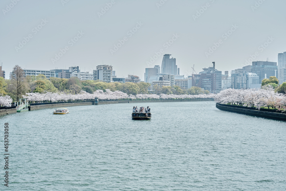 Naklejka premium Boat on the River with Sakura in Osaka, Japan