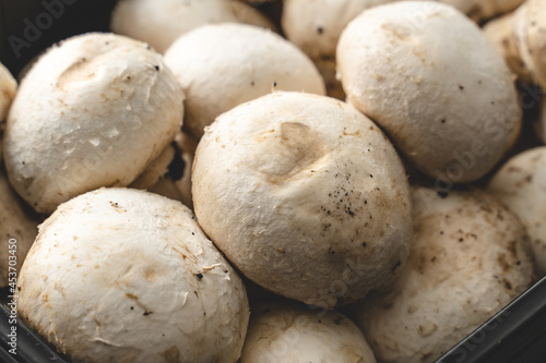 Top view full frame close up on Agaricus marshmallows - raw organic fresh food from farm - healthy eating concept