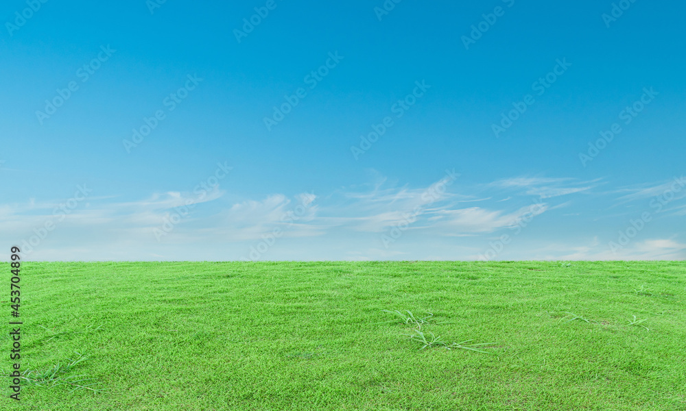 Green grass field and blue sky with clouds background. Green grass field and blue sky with clouds background.