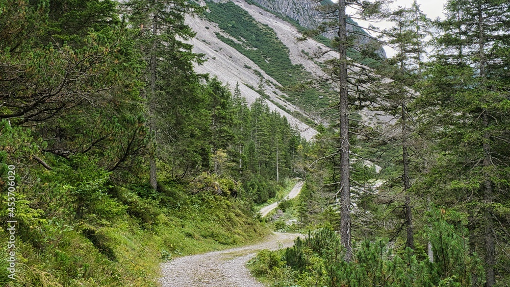 Fototapeta premium Typisch alpiner Wanderweg mit Überreste von Muren (Gerölllawinen) im Hintergrund, Wald, Gebirgsbach und Schotterweg in Österreich bei Gramais Richtung Branntweinboden