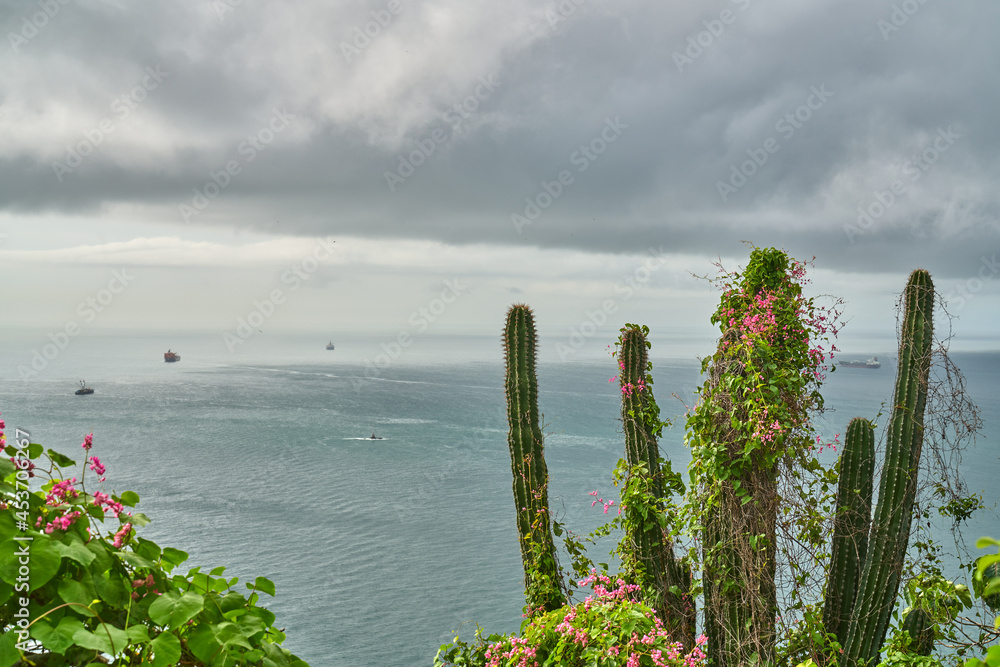 Scenic View of Mazatlán Mexico EL Fario Lighthouse Oceanview with Catus in Foreground  