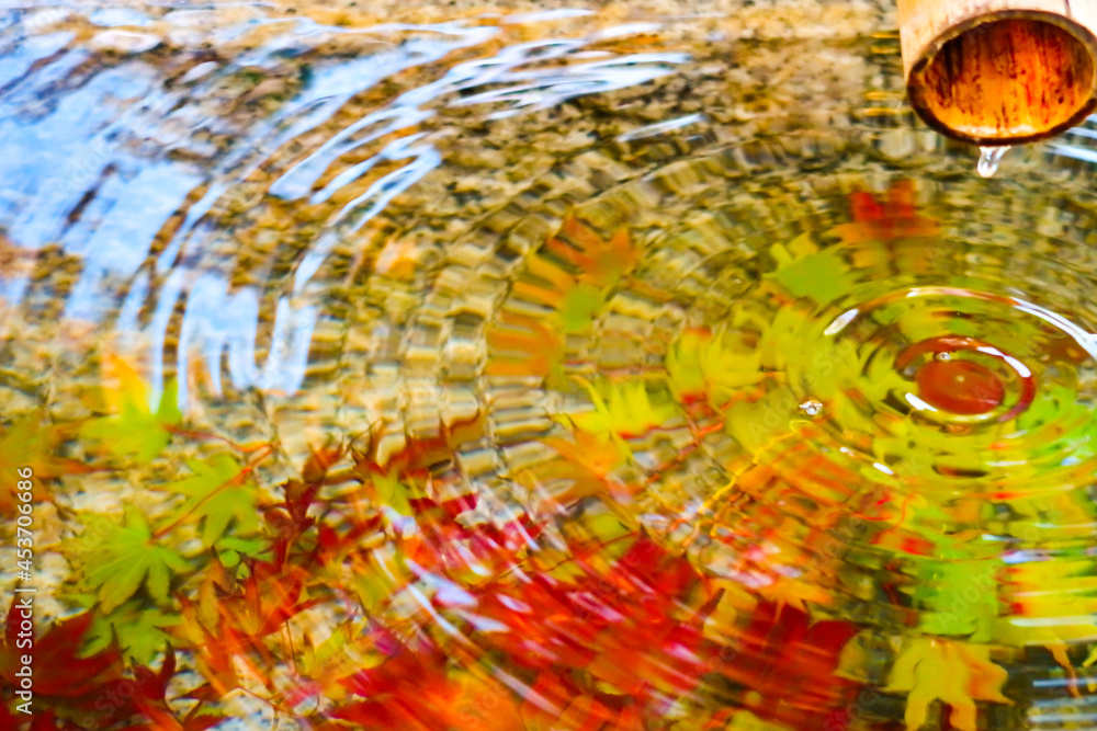 もみじの花手水 カエデ 楓 和風の壁紙 背景画像 日本の秋 Stock Photo Adobe Stock もみじの花手水 カエデ 楓 和風の壁紙 背景画像 日本の秋 Stock Photo Adobe Stock