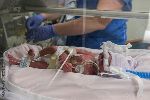 Nurse caring Premature newborn baby in incubator
