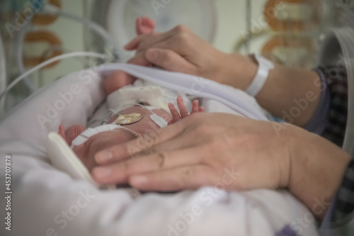 Premature newborn baby in incubator with mother s hands