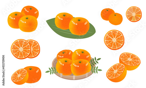 みかんのイラストセット　果物　フルーツ　
