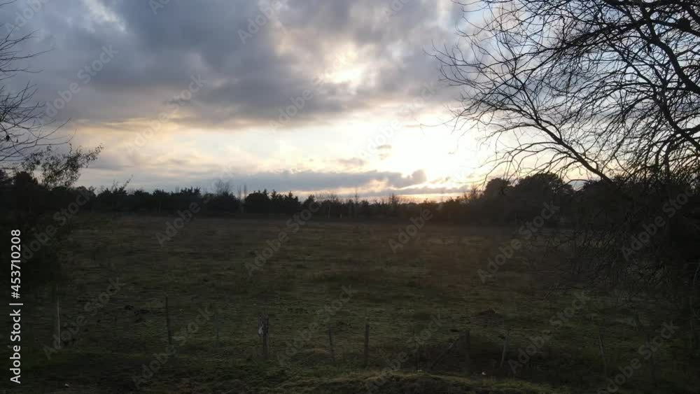 AERIAL - Flying over a field at sunrise with clouds overhead, wide shot forward AERIAL - Flying over a field at sunrise with clouds overhead, wide shot forward